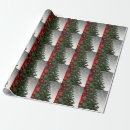 Search for silver snowflake wrapping paper Party