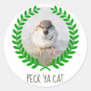 Search for warrior cats crafts party Funny