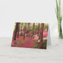 Search for garden path cards Gardens