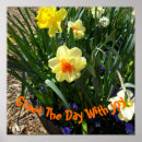 Search for daffodil posters Yellow flower