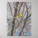Search for cherry tree posters Pink blossoms