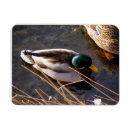 Search for bird hunt magnets Duck