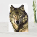 Search for grey wolves cards Dog