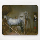 Search for stable mouse mats Grey