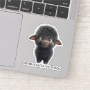 Search for fluffy sheep stickers Kawaii