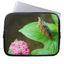 Search for blue morpho butterfly electronics Flower
