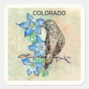 Search for colorado state stickers Nature