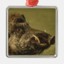 Search for boar christmas tree decorations Wild pig