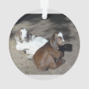 Search for baby goat christmas tree decorations Cute