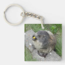 Search for marmot key rings Groundhog