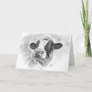 Search for dairy cow cards Holstein