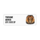 Search for big cat return address labels Jungle