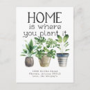 Search for potted postcards Cactus