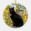 Search for meow christmas tree decorations Pet