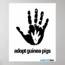 Search for guinea pig posters Pet