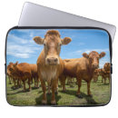 Search for livestock cases Grass