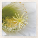 Search for botany barware Bloom