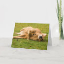 Search for golden retriever fathers day cards Father's