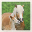 Search for pony coasters Funny