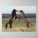 Search for mountain horse posters Ken archer