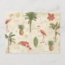 Search for floridian postcards Flamingo