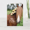 Search for pretty horse cards Friendship