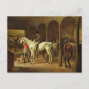 Search for dog postcards White