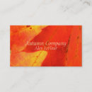 Search for fall leaves business cards Photography