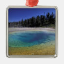Search for yellowstone christmas tree decorations Geyser