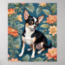 Search for chihuahuas posters Cute