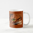 Search for wild kitten mugs Kitty