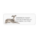 Search for greyhound return address labels Dogs