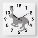Search for jack rabbit Hare