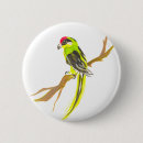 Search for macaws badges Animal