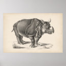 Search for rhinoceros paintings posters Antique