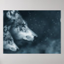 Search for wolf pack posters Canine