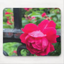 Search for raindrop mouse mats Rose