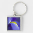 Search for detail of key rings Colourful