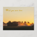 Search for wish you were here postcards Sun