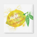 Search for lemonade magnets Fruit