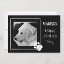 Search for photo dog mothers day cards Mum