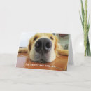 Search for sick dog get well cards Illness