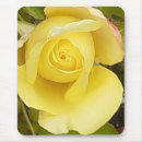 Search for rosebuds electronics Flowers
