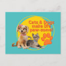 Search for paws postcards Pets