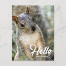 Search for laughing animals postcards Cute