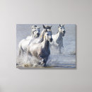 Search for horse canvas prints Cowboy