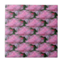 Search for pink floral tiles Blooming
