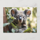 Search for koala baby postcards Tree