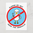 Search for gull postcards Birds