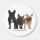 Search for isoler magnets Background